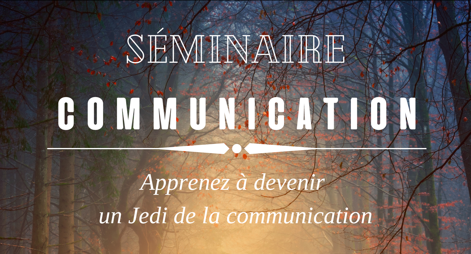 Entete seminaire communication