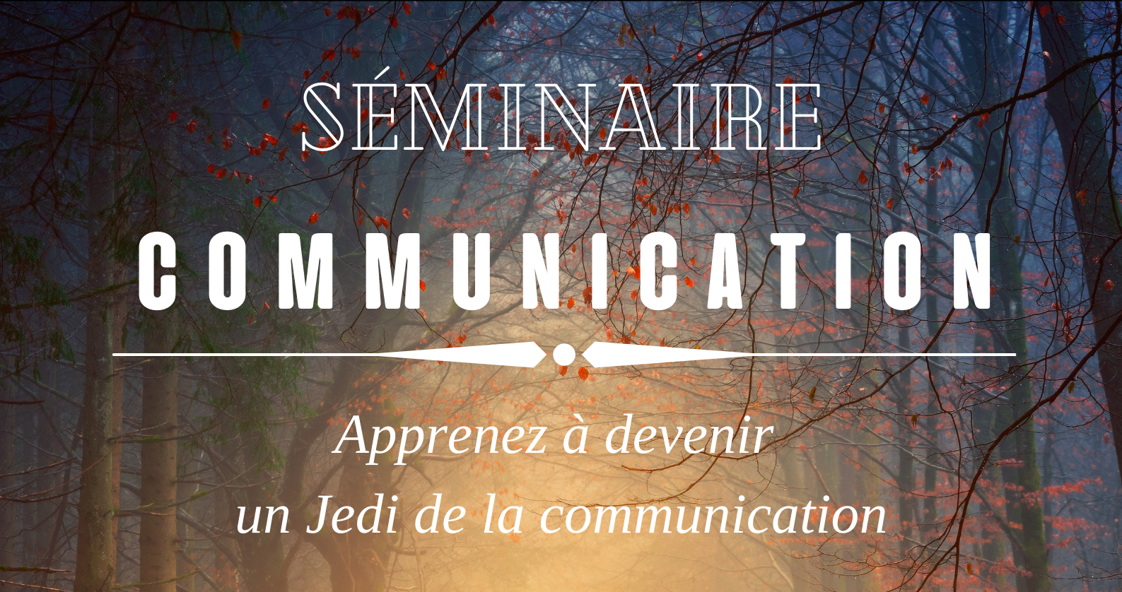 Seminaire communication haut