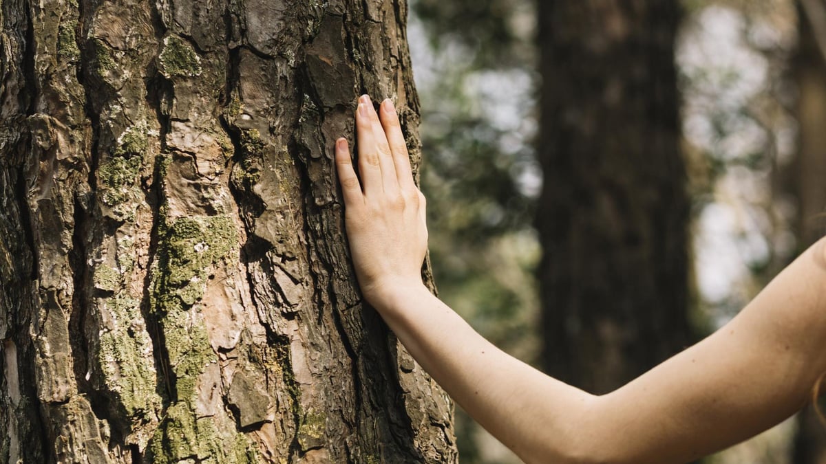Woman touching tree with hand